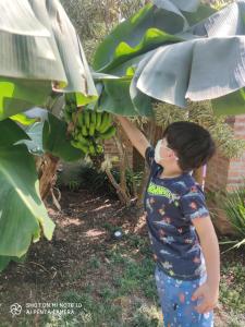 Casa com Piscina Morada da Praia