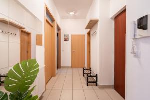 Ace of Spades Gozsdu