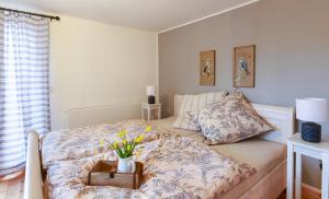 Stadtnest Malchow - für 2-12 Personen in der Inselstadt - Mecklenburgische Seenplatte