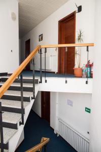 Vila Pellegrin