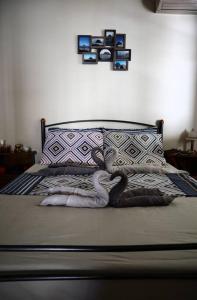 Sophies traditional hospitality appartment