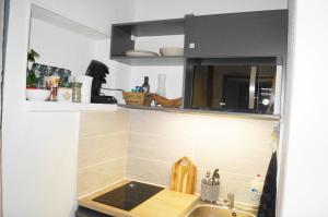 Appartements Studio ALexis proche centre ville : photos des chambres