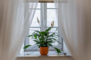 Charming Apartment Tanja 