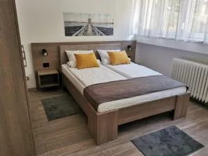 Apartman PAVLOVIC 1 - Dedinje