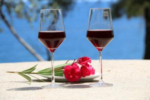 FANTASY GRAND VILLA THASSOS