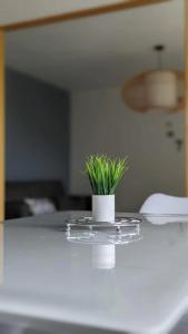 Appartement A neuf style scandinave