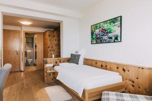 Single Room room in Hotel Schwaigerhof