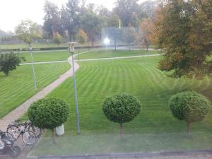 Triple Room with Bathroom room in Bootshaus Neustrelitz