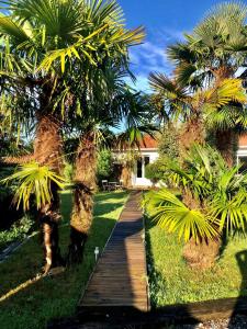 Maisons d'hotes Agreable suite - Bassin Arcachon : photos des chambres