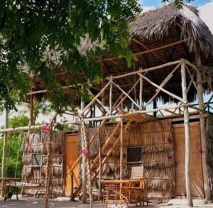 Mida Creek Nature Camp