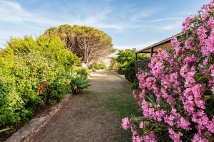 Villa Bay Pine - Klodge img54