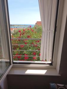 Allegro Apartments Novalja