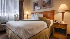 King Room room in Best Western Plus Newport News