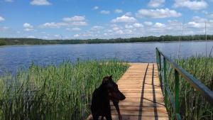 Domek nad jeziorem Mazury