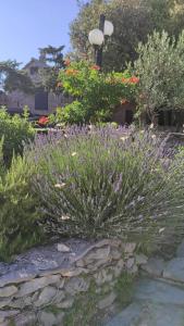 Country House Hacienda