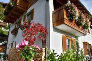 Haus Vlcek - Nauders