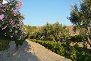 Lesvos Tower House Komninos Lesvos Greece