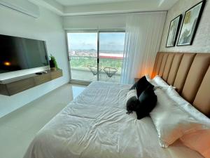 The One D16 Sobre el Malecón Vista al Estadio de Baseball