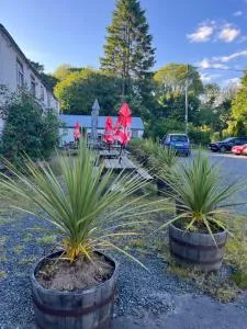 The Mill Inn - تراوتبك