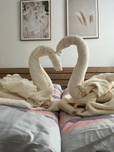 Nový Apartmán v areálu Wellness hotelu Frymburk