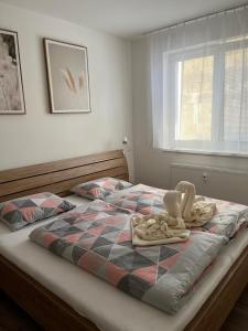 Nový Apartmán v areálu Wellness hotelu Frymburk