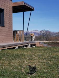 Campings Auvergne chalets Sancy : photos des chambres