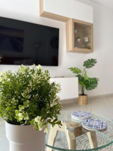 Vitamin Sea Vilamoura