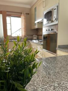 Vitamin Sea Vilamoura