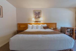 Deluxe King Room room in Mariposa Lodge