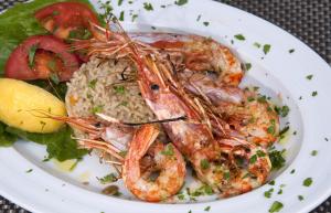 Delfinia Hotel Corfu Greece