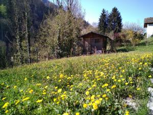 Appartements Gite les Boleros : Chalet