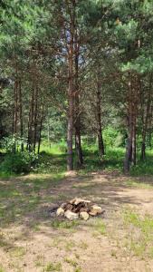 Domek nad stawami dla wędkarzy - Gospodarstwo Rybackie Jaworznik