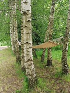 Wyciszek - mazurska agroturystyka