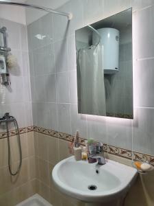 Apartament Mali i Robit