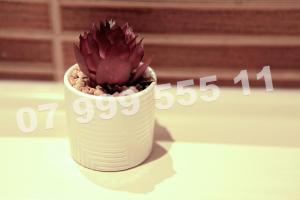 Cataleya Suites Aparthotel