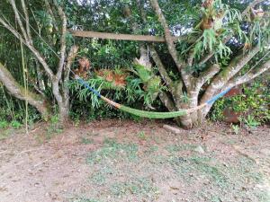 Finca Hotel La Vida es un Paseo