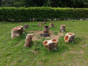 Finca Hotel La Vida es un Paseo