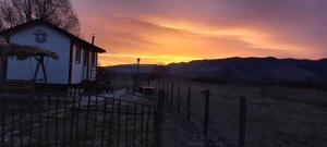 Căsuța Sara- the story of nature