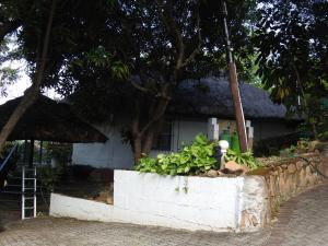 Impala Niezel Lodge & Guest House