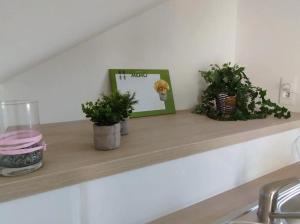 Les Glycines, un air de campagne à la ville