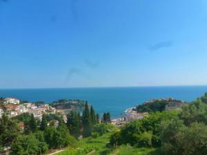 Apartment Djakonovic Mladen