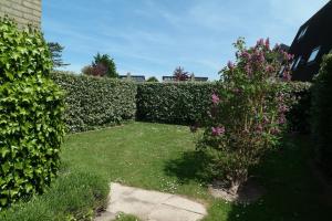 Dolfijn, Wijk de Brabander 92