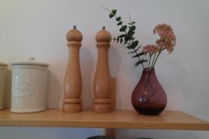 Dolfijn, Wijk de Brabander 92