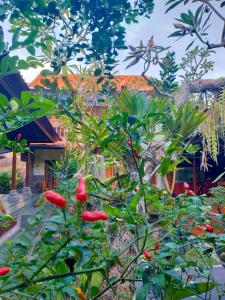 Kubu Tako Homestay