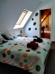 B&B / Chambres d'hotes La Flandre entre plaine, mer et marais : photos des chambres