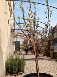 Maison entière aux portes du canal de Bourgogne