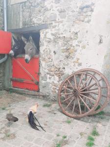 Sejours a la campagne La Ferme de la loge : photos des chambres