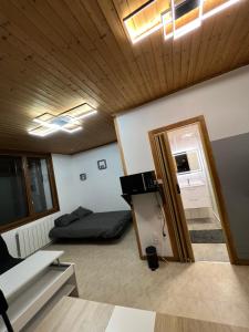 Appartements Magnifique Studio de 20m2 pour 1 a 4 personnes : photos des chambres