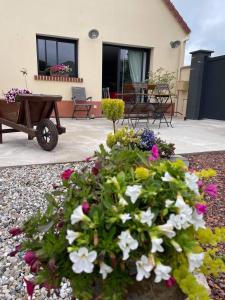 Maisons de vacances les deux falaises a Eu : photos des chambres