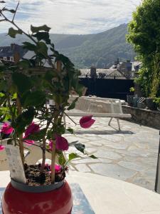 HOME LE SOFT Vic sur Cère